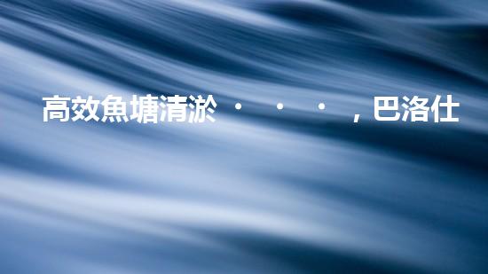 高效魚塘清淤，巴洛仕設(shè)備助力生態(tài)養(yǎng)殖